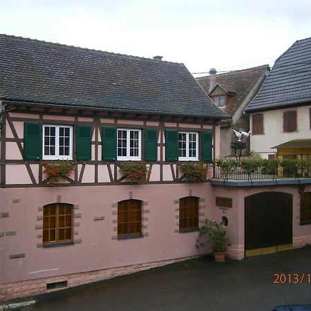 Willa Gite Au Nid De Cigognes Dieffenthal Zewnętrze zdjęcie