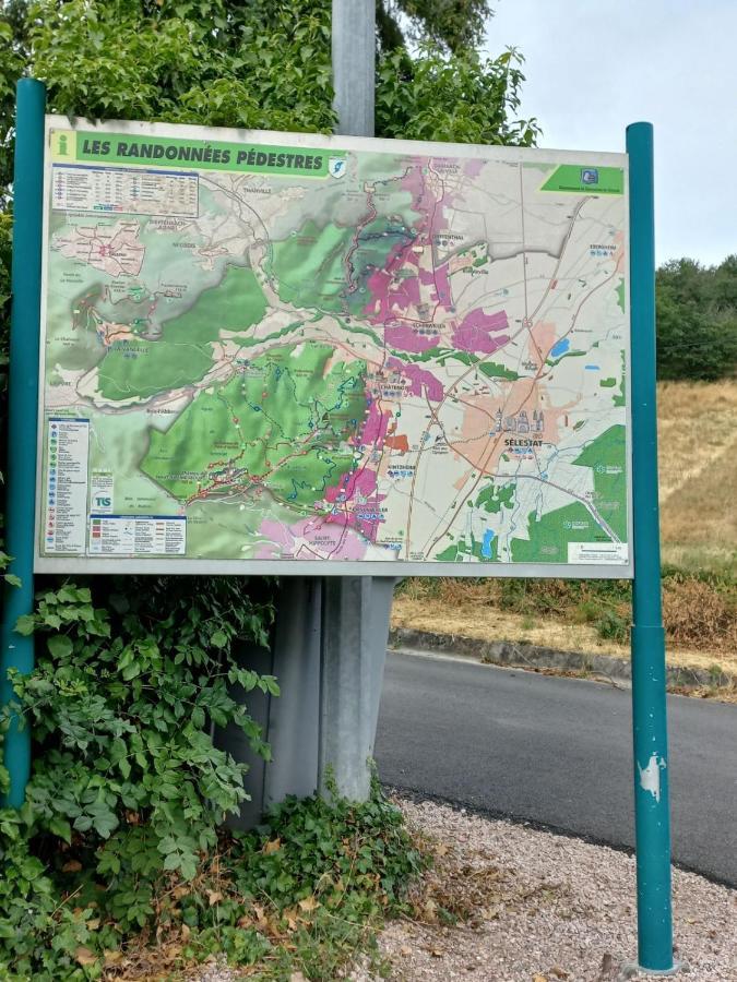 Willa Gite Au Nid De Cigognes Dieffenthal Zewnętrze zdjęcie