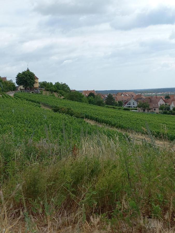 Willa Gite Au Nid De Cigognes Dieffenthal Zewnętrze zdjęcie